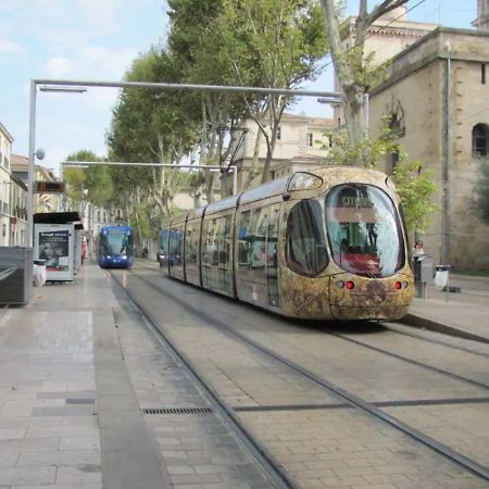 Magnifique 2 Pieces - Plein Centre - Tram 1 Min Apartment Montpellier Exterior photo